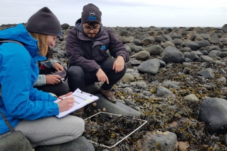 People surveying a rocky shore as part of Shoresearch