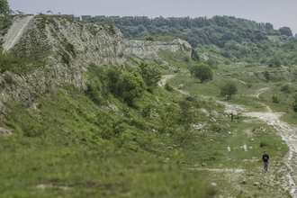 A disused chalk quarry mostly covered by shrubs and grasses, with woodland in the background.