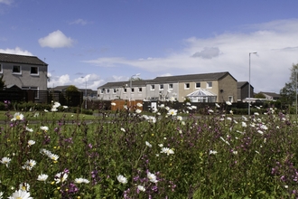 Houses with wildflowers