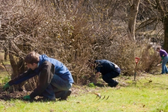 Volunteers planting a hedgerow