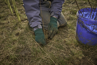 A close-up photo of someone planting trees