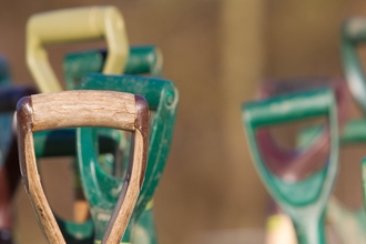 A photograph showing lots of garden tool handles