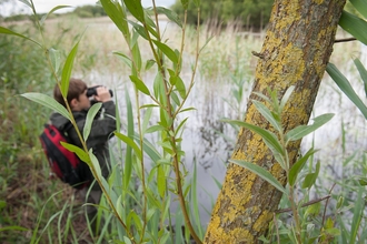 Boy birdwatching at Westhay Moor