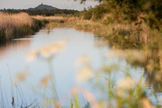 ham wall reserve