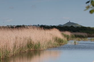 Somerset Levels