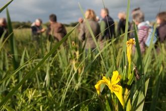 Group of adults learning about plants