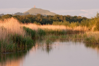 Reedbeds with a view over the water to Glastonbury tor