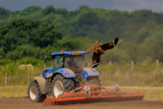 farming