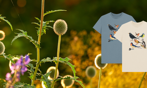 Join in June t-shirt offer banner