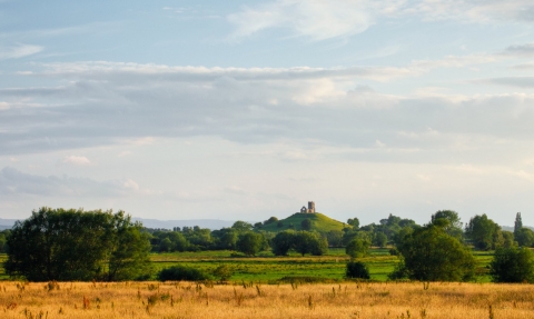 burrow mump from Othery