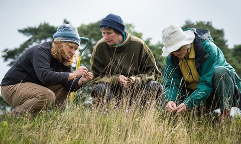 Group crouched in field, carrying out a survey