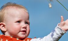baby reaching out for cotton grass