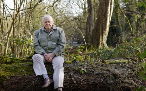 David Attenborough My Wild Life