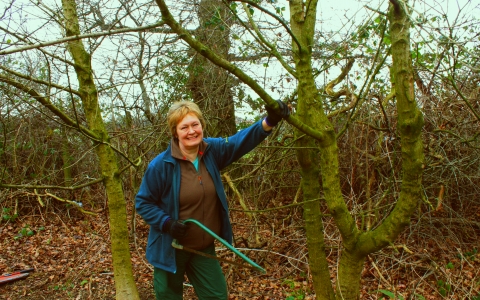 Anne with a saw in the woods 