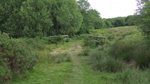Jan Hobbs Reserve gate and trees Sarah Fox