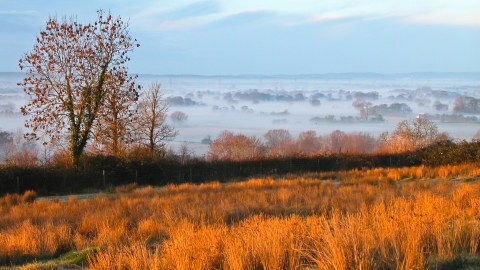 Yarley Fields in the morning mist Jeff Bevan