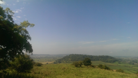 Gilling Down view Rosie Winch