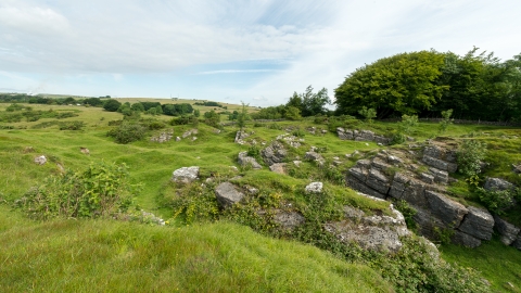 Ubley Warren Nature Reserve