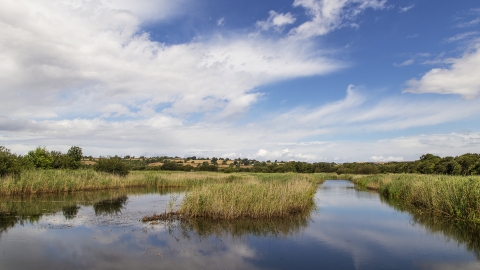 Westhay Moor