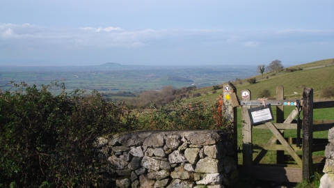 Stone wall and gate at Cooks Field