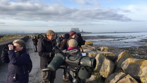 Birdwatchers on Sea Wall at Stolford