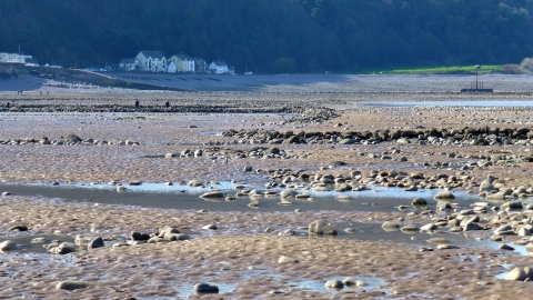 Minehead Rockpool Landscape