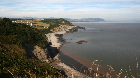 Warren Bay Coast View