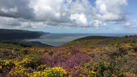 Porlock Bay from Bossington Hill