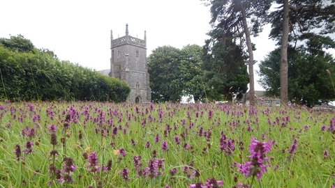 Priddy churchyard