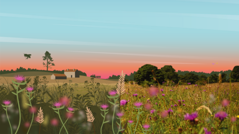 Wilder Somerset meadow image