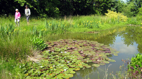 Guests walking around a pond at a Wilder Open Garden