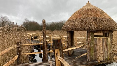 Wooden boardwark leading to newly completed accessible ‘island' viewing hide, Westhay Moor