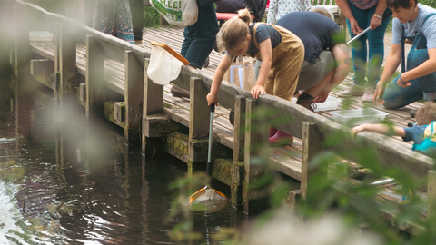 Children taking part in pond dipping