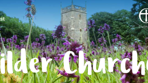 Wilder churches banner 2025
