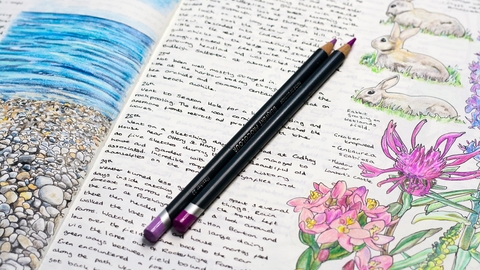Journal with paintings of pink and purple wildflowers with accompanying small handwritten text, with colouring pencils on top of the journal