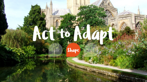 Act to Adapt - Wells