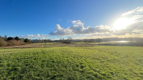 Picture of Brides Fields