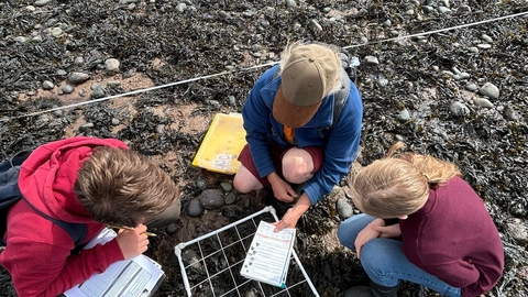 3 young people squat round a quadrat on a rocky shore survey