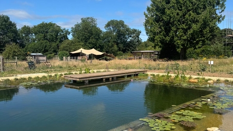 Picture shows an outdoor wildlife swimming pond, it looks like a normal outdoor swimming pool but has natural water, lily pads, and dragonflies around the perimeter