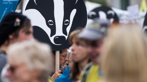 Placard in the shape of The Wildlife Trusts logo.