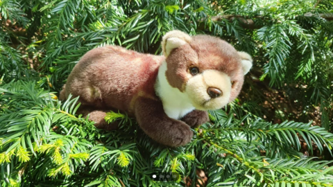 Pine Marten stuffed toy