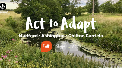 Act to Adapt - Mudford