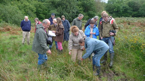 Adults in Nature