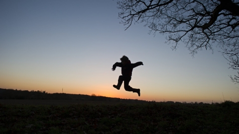 Young boy silhouetted at dusk playing on edge of woodland