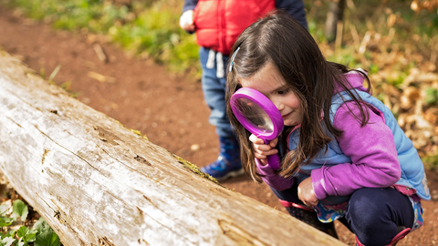 Girl looks through magnifying glass at log