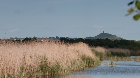 Somerset Levels