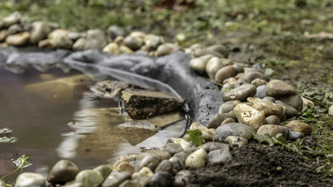 The edge of a pond, surrounded by gravel and grass, and showing pond lining underneath.