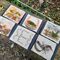 set of 6 paintings of nature