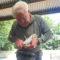 Roger Dickey ringing a barn owl chick