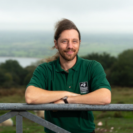 Chris Eyles